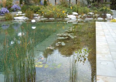 Baignade naturelle Chavornay