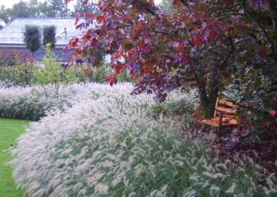 Baignade naturelle Gruyere